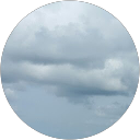 Lauren S. profile picture